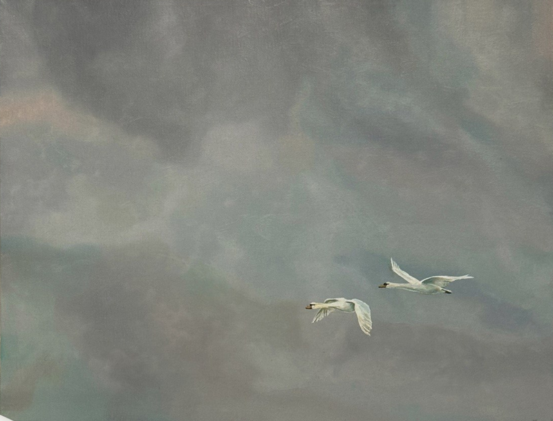 Before Storm